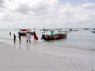 Swimming with dolphins, Zanzibar, DSC07828b